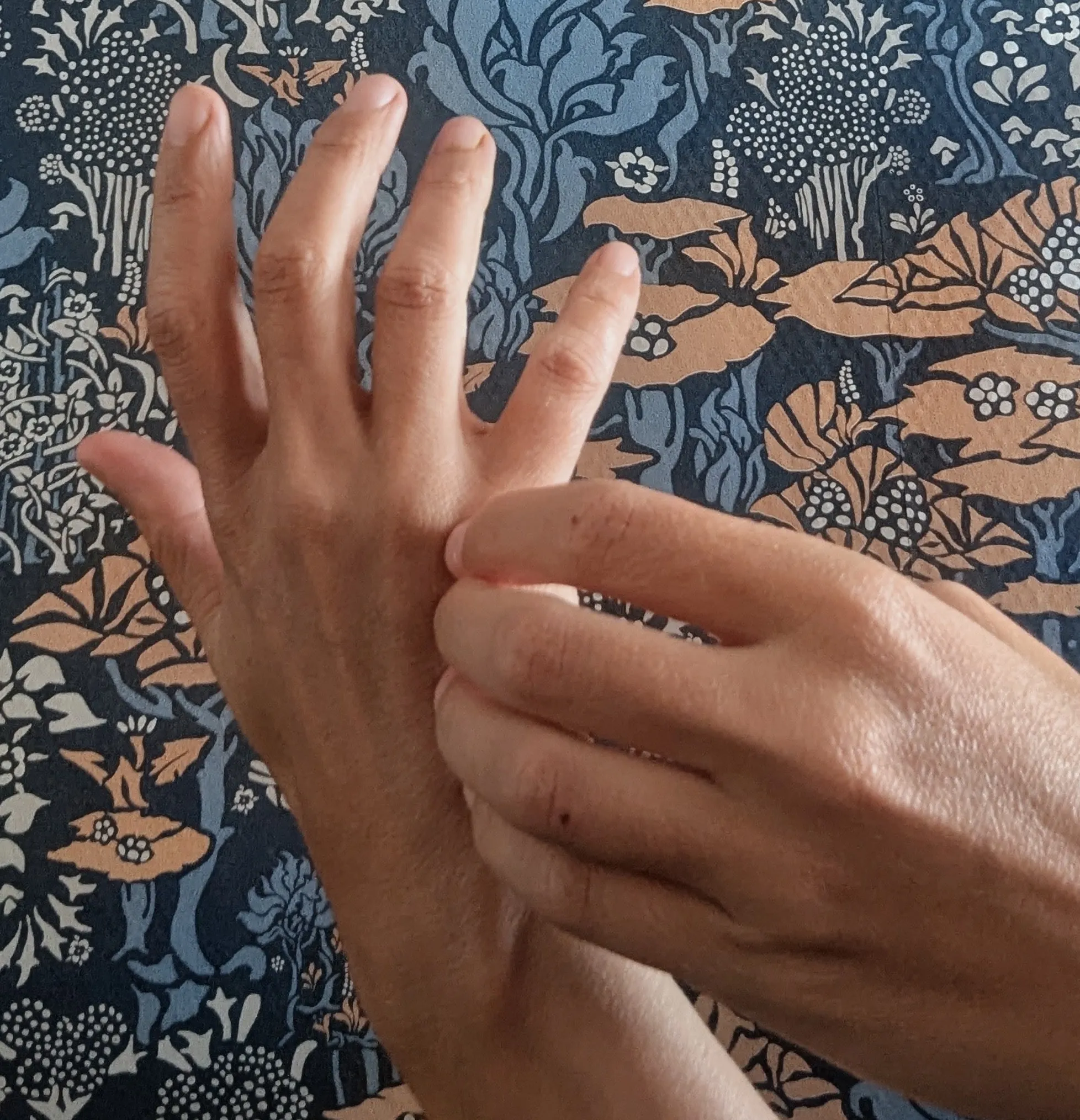 EFT : Emotional Freedom Technique